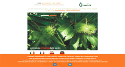 Desktop Screenshot of agriturismoilcastagno.com