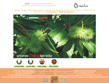 Tablet Screenshot of agriturismoilcastagno.com